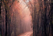 球队气质迥异，表现绝难参透阵阵疑云