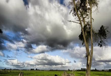 比尔道夫客场-小胜曼城，提前晋级淘汰赛