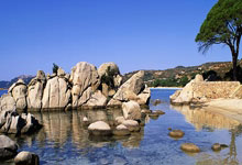 球队气质迥异，表现绝难参透阵阵疑云