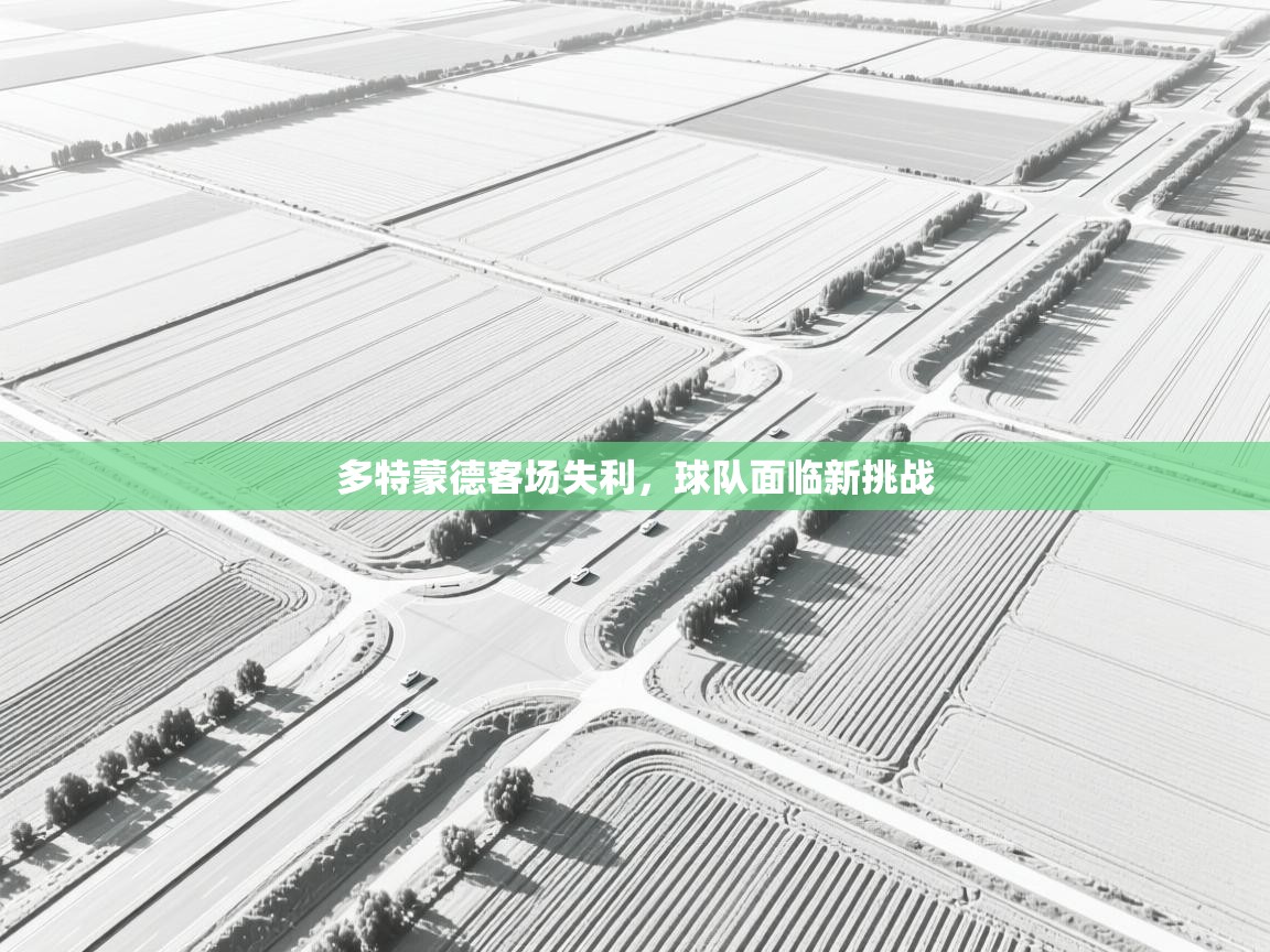 多特蒙德客场失利，球队面临新挑战