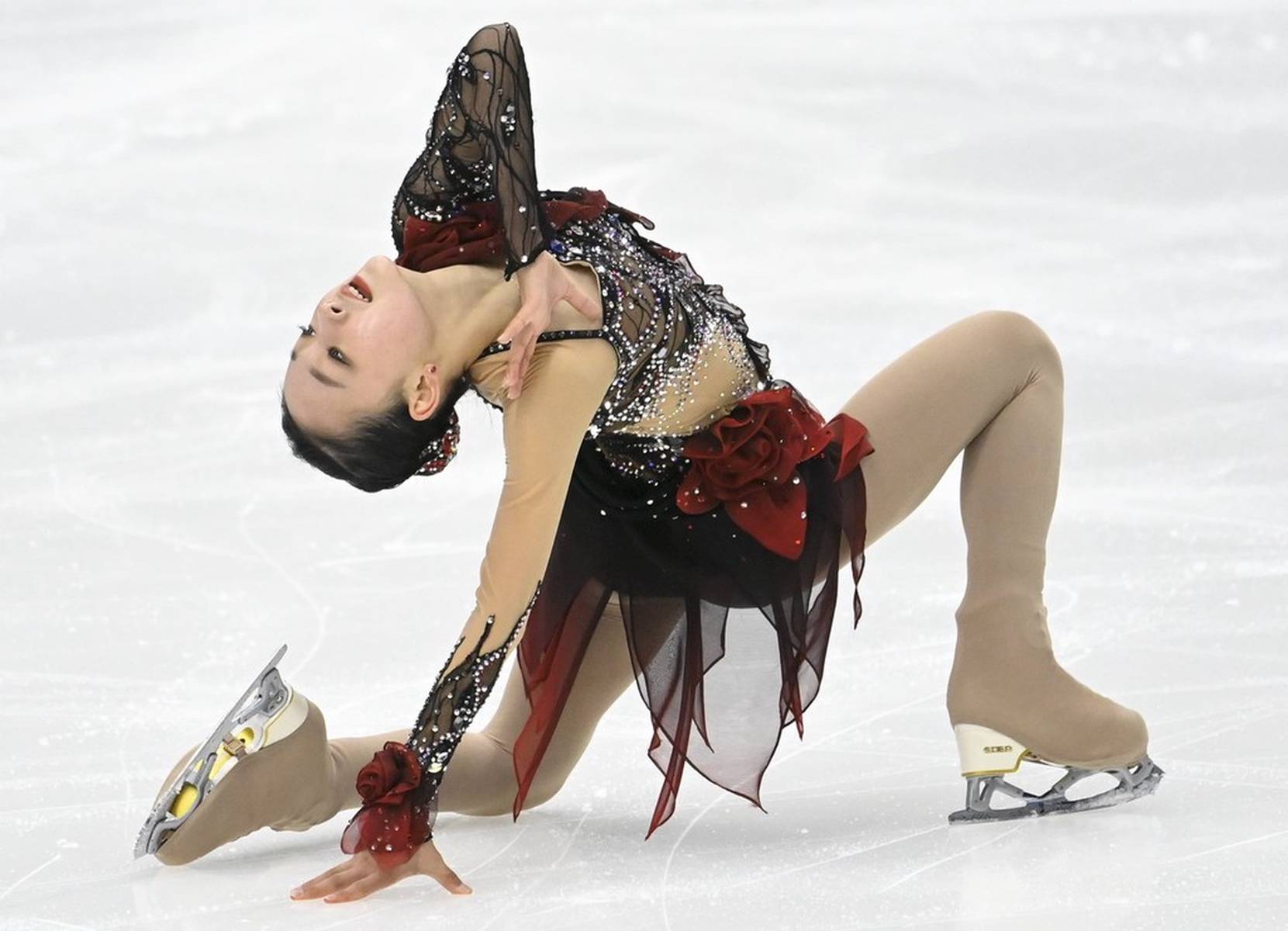 自由滑表演惊艳观众，获得高分的简单介绍